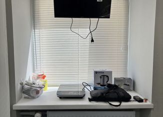 Аренда квартиры студии, 10 м2, Санкт-Петербург, Артиллерийский переулок, 1, метро Достоевская