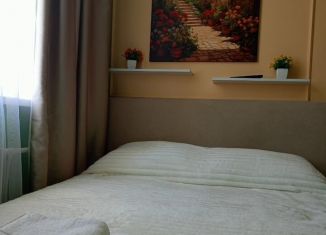 Сдаю квартиру студию, 18 м2, Санкт-Петербург, Среднеохтинский проспект, 33/15, Среднеохтинский проспект