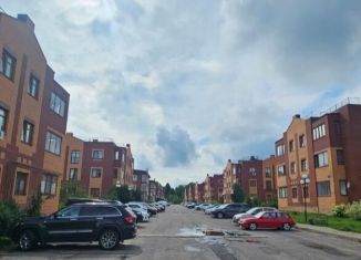 1-ком. квартира на продажу, 44.1 м2, деревня Раёво, улица Джонатана Свифта, 1