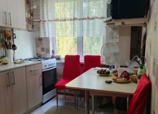 4-комнатная квартира на продажу, 61.9 м2, посёлок Берёзовый, улица имени Профессора Малигонова, 22