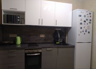 Сдам 1-ком. квартиру, 33.5 м2, посёлок Парголово, Заречная улица, 33