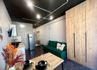 Сдача в аренду квартиры студии, 25 м2, Республика Башкортостан, улица Рудольфа Нуреева, 7