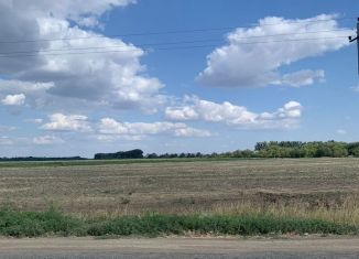 Продаю земельный участок, 1600 сот., Калмыкия, площадь Ленина