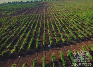 Продажа участка, 4200 сот., Вилинское сельское поселение