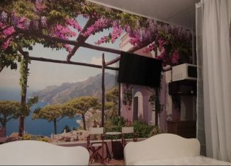 Сдам в аренду квартиру студию, 17 м2, Сочи, Курская улица, 79, микрорайон ВВС