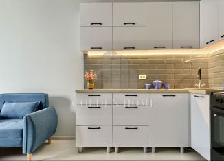 Сдается квартира студия, 36.3 м2, Санкт-Петербург, Средний проспект Васильевского острова, 87к3