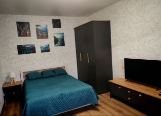 Сдаю квартиру студию, 36.6 м2, Карелия, Пригородная улица, 10