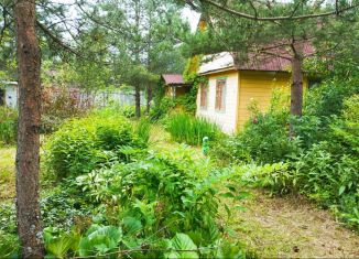 Продам дачу, 60 м2, Санкт-Петербург, улица Центральная Дорога
