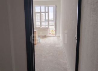 Продаю квартиру студию, 25 м2, Санкт-Петербург, Союзный проспект, 4, муниципальный округ Правобережный