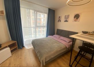 Сдается квартира студия, 23.1 м2, посёлок Парголово, Толубеевский проезд, 8к2