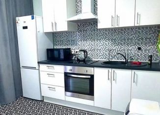 Сдается однокомнатная квартира, 38 м2, Санкт-Петербург, Архивная улица, 11к3, ЖК Цивилизация