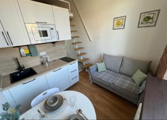 Квартира в аренду студия, 15.5 м2, Санкт-Петербург, проспект Римского-Корсакова, 107