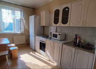 Сдам 2-ком. квартиру, 55 м2, Санкт-Петербург, Земский переулок, 9