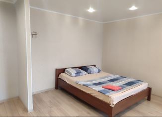 Сдам в аренду однокомнатную квартиру, 30 м2, Кемеровская область, улица Советов