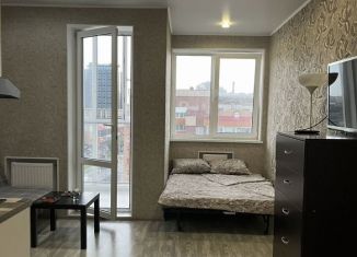 Сдается квартира студия, 24 м2, Республика Башкортостан, улица Менделеева, 104