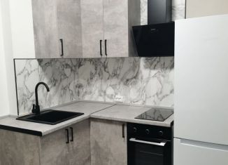 Сдам в аренду однокомнатную квартиру, 30 м2, Санкт-Петербург, Дальневосточный проспект, 19к1