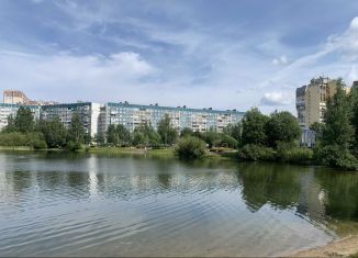 Продаю 2-ком. квартиру, 48 м2, деревня Новое Девяткино, Капральская улица, 19