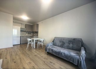 Сдается в аренду однокомнатная квартира, 35.4 м2, деревня Новое Девяткино, Главная улица, 8к1