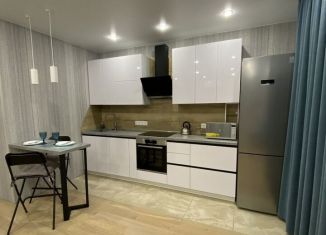 Сдам в аренду квартиру студию, 41.7 м2, Республика Башкортостан, улица Октябрьской Революции, 31А