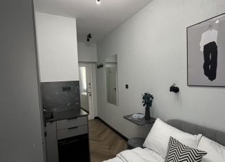 Сдаю квартиру студию, 12 м2, Санкт-Петербург, Лиговский проспект, 31