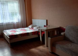 Сдача в аренду 2-комнатной квартиры, 51 м2, Аксай, улица Мира, 2Ак2