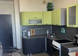 Сдача в аренду 1-комнатной квартиры, 60 м2, Пермь, улица Советской Армии, 72/4, ЖК Триумф