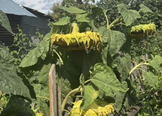 Продается дом, 24.4 м2, Чувашия, улица А.Г. Николаева