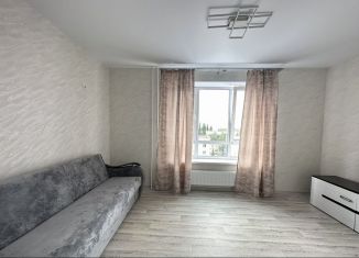 Аренда однокомнатной квартиры, 35 м2, Республика Башкортостан, Заводская улица, 20