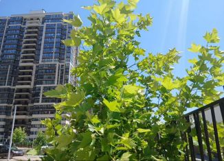 Продам двухкомнатную квартиру, 59.2 м2, Краснодар, Конгрессная улица, 41, ЖК Отражение