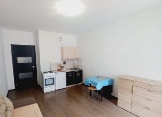 Сдаю квартиру студию, 26.5 м2, Мурино, улица Шувалова, 25к1, ЖК Гринландия-2