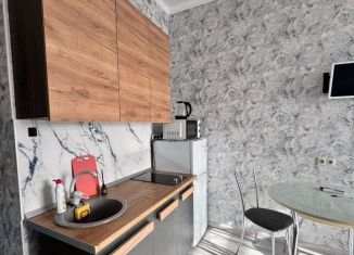 Квартира в аренду студия, 24 м2, Сочи, Донской переулок, 11Б, микрорайон Донская