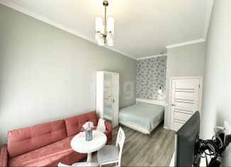 Продаю квартиру студию, 25 м2, Санкт-Петербург, Лиговский проспект, 232, ЖК Второй Квартал