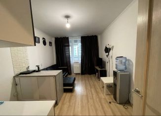 Продается квартира студия, 20.4 м2, Мурино, улица Шувалова, 19к2, ЖК Краски Лета