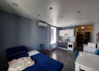 Продажа квартиры студии, 30 м2, Тобольск, 15-й микрорайон, 42