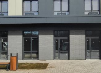 Продаю помещение свободного назначения, 47.5 м2, Ростов-на-Дону, улица Зорге, 11, Советский район