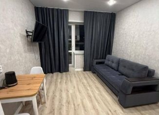 Сдача в аренду квартиры студии, 26 м2, деревня Куюки, Молодёжная улица, 29