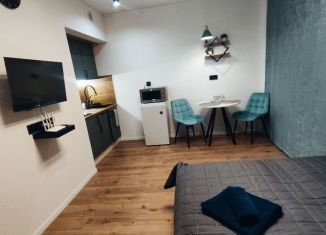 Сдам в аренду квартиру студию, 20 м2, Выборг, улица Водной Заставы, 6