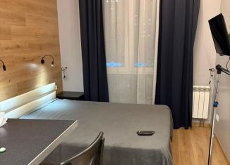 Сдача в аренду 1-комнатной квартиры, 20 м2, Москва, Профсоюзная улица, 128А, район Тёплый Стан