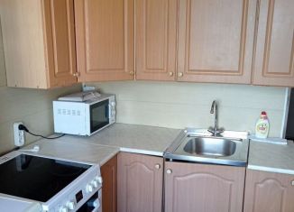 Сдается 1-ком. квартира, 37 м2, деревня Новое Девяткино, улица Ветеранов, 16