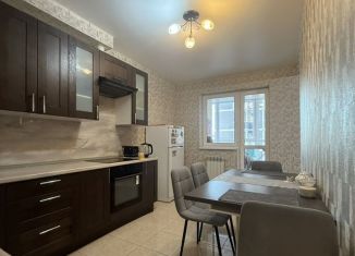 Сдаю в аренду однокомнатную квартиру, 45 м2, Ростов-на-Дону, 20-я улица, 43, Ленинский район