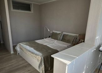 Сдам 1-ком. квартиру, 30 м2, Сочи, улица Пирогова, 20, микрорайон Новый Сочи