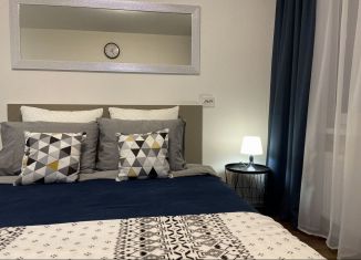 Сдаю квартиру студию, 22 м2, Санкт-Петербург, улица Морской Пехоты, 26к1, Красносельский район