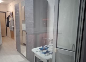 Продажа квартиры студии, 19.5 м2, Нижний Новгород, улица Бориса Видяева, 10, Автозаводский район