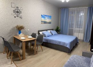 Квартира в аренду студия, 30 м2, посёлок Парголово, Заречная улица, 10