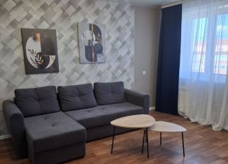 Сдаю 1-комнатную квартиру, 50 м2, Благовещенск, Зейская улица, 222
