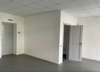 Сдаю помещение свободного назначения, 40 м2, Псков, Петровская улица, 4Б