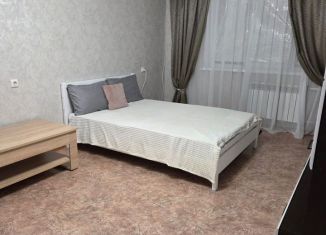 Сдача в аренду 1-ком. квартиры, 47.3 м2, Воронеж, улица Шишкова, 146, ЖК Московский Квартал