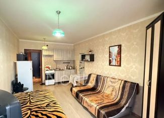 Продается квартира студия, 24 м2, Мурино, Петровский бульвар, 7, ЖК Ласточка