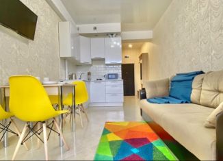 Продается квартира студия, 26.7 м2, Сочи, Крымская улица, 69/1, микрорайон Мамайка