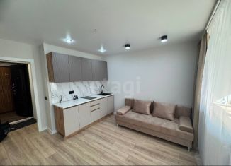 Продается квартира студия, 18.8 м2, Тюмень, улица 30 лет Победы, 109